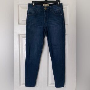 Democracy Dark Blue Skinny Jeans